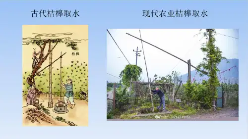 10.2滑轮及其应用沪科版八年级物理全一册优质教学课件