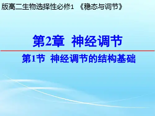新教材人教版《神经调节的结构基础》ppt优秀课件1