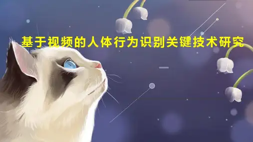 基于视频的人体行为识别关键技术研究