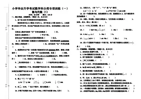 小学六年级数学科分类专项训练(数与代数)