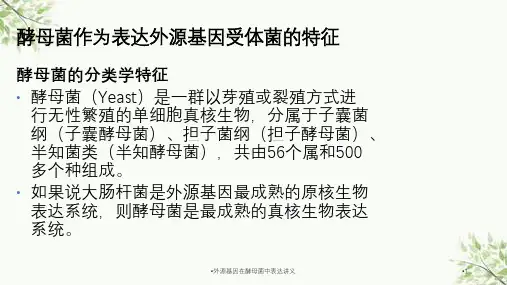 外源基因在酵母菌中表达讲义课件