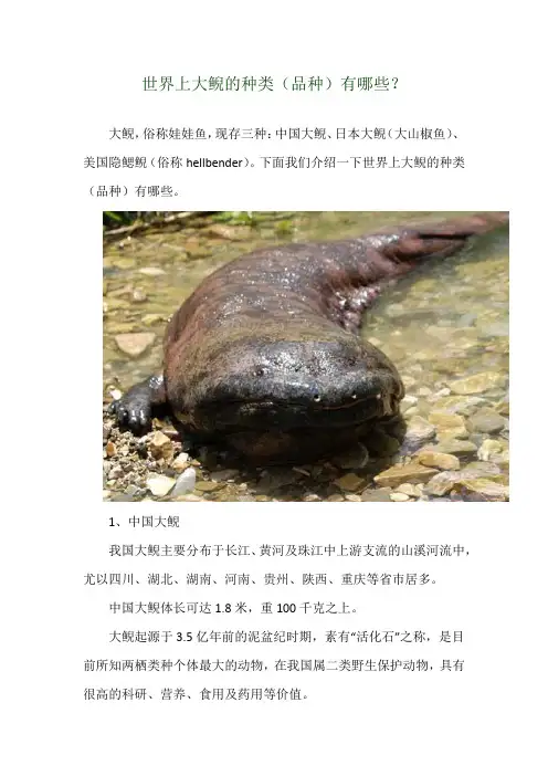世界上大鲵的种类(品种)有哪些？