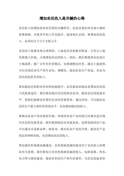 增加农民收入是关键的心得