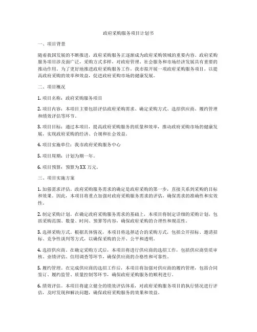 政府采购服务项目计划书
