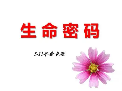 生命密码课件(添加)