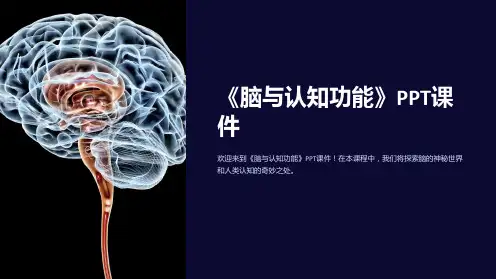 《脑与认知功能》课件
