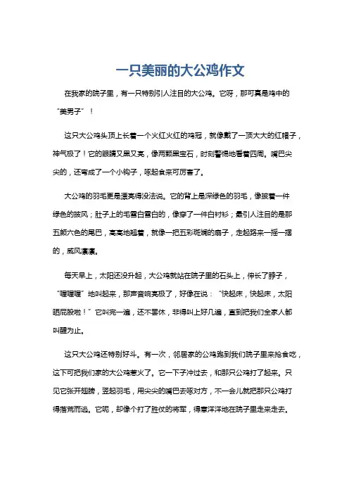 一只美丽的大公鸡作文