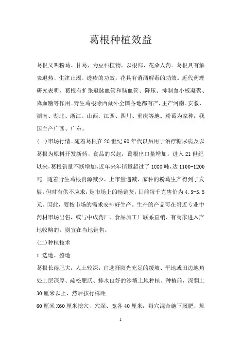 葛根种植效益