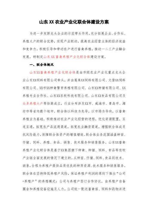 农业产业化联合体建设方案