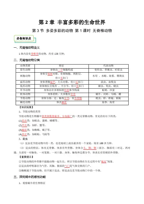 20242025七上科学浙教版新教材第2章第3节多姿多彩的动物第1课时无脊椎动物讲义教师版