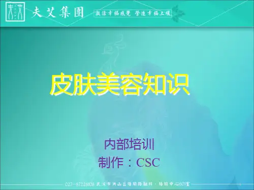 皮肤美容知识PPT课件