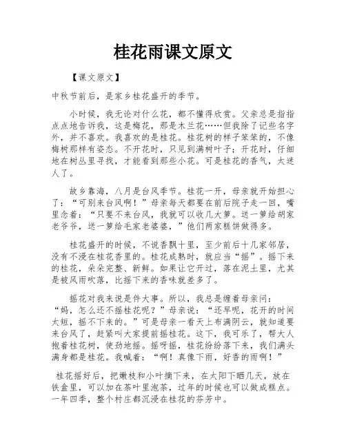 桂花雨课文原文
