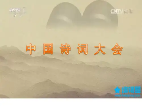 岳麓版高中历史必修三第二单元第9课《诗歌与小说》教学课件(共31张PPT)