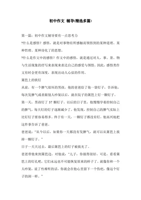 初中作文 辅导(精选多篇)