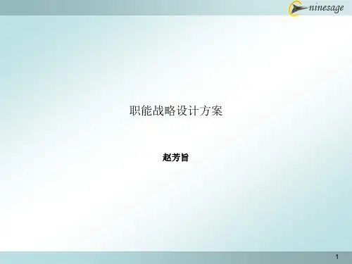 (精品文档)职能战略设计方案1222