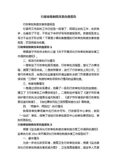 行政审批制度改革自查报告