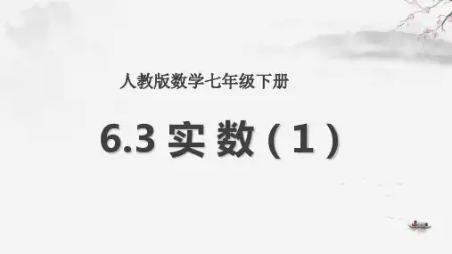 人教版教材《实数》课件ppt1