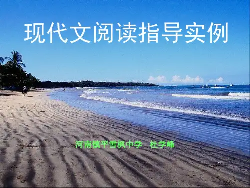 现代文阅读指导实例