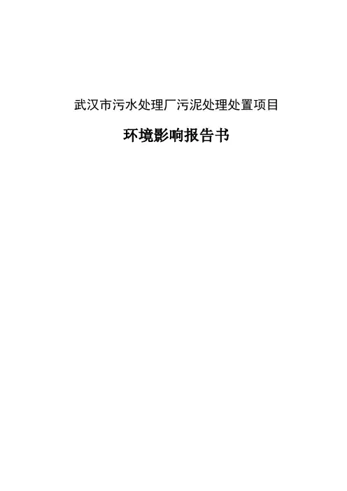 武汉市污水处理厂污泥处理处置项目