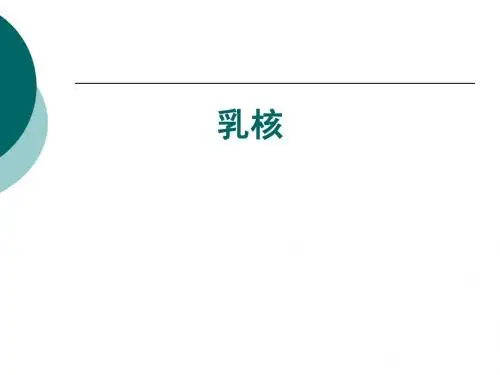 中医外科学乳核