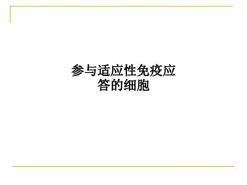 参与适应性免疫应答的细胞