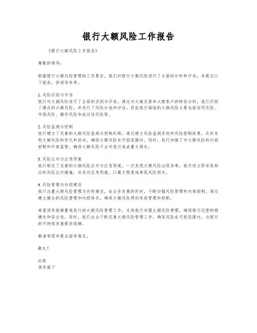 银行大额风险工作报告