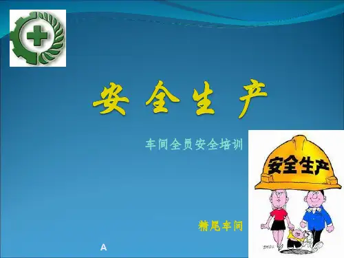 选矿厂安全生产培训课件