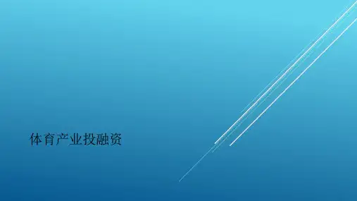 第十一章体育产业投融资——【体育产业经济学】