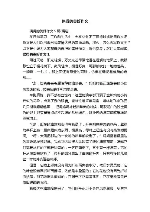 偶得的美好作文5篇（精选）