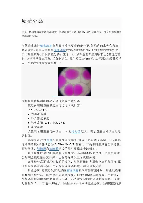 质壁分离