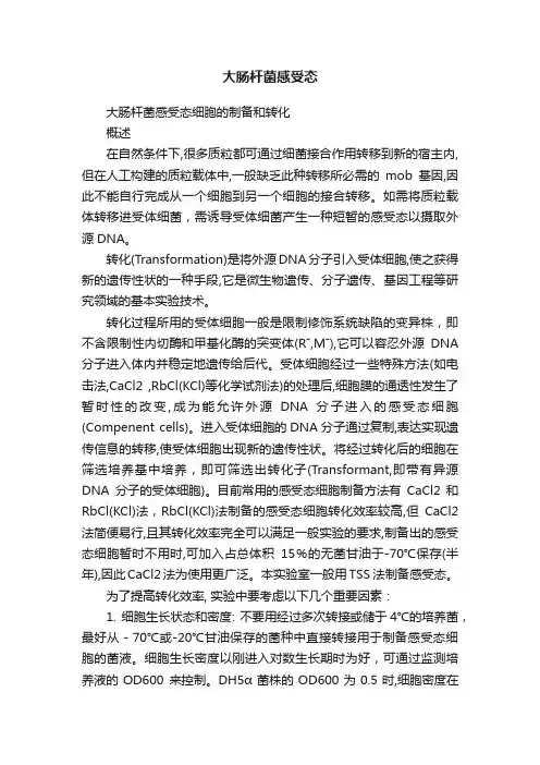 大肠杆菌感受态