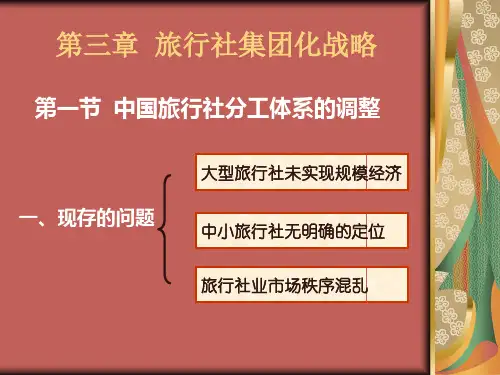 旅行社集团化战略