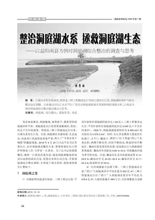 整治洞庭湖水系 拯救洞庭湖生态——以益阳南县为例对洞庭湖综合