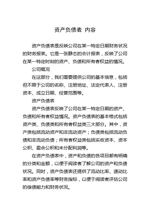 资产负债表 内容