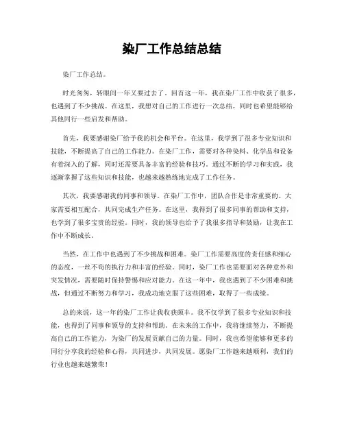 染厂工作总结总结