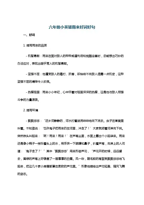 六年级小英雄雨来好词好句