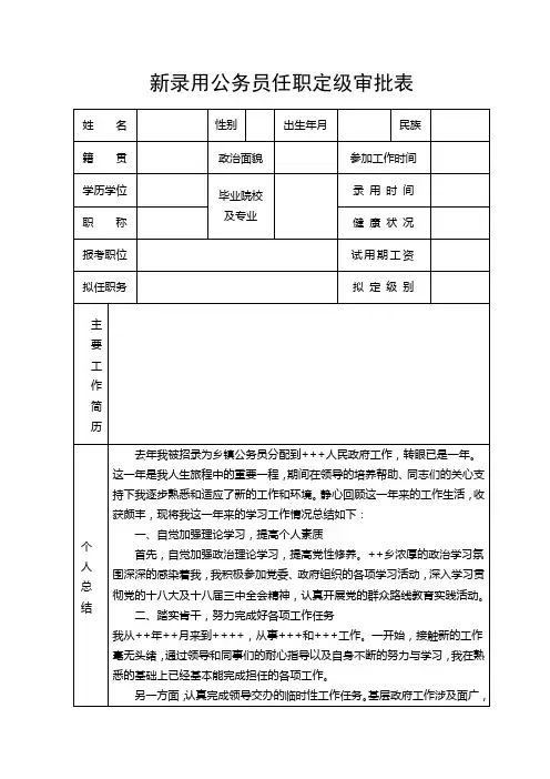 任职定级审批表