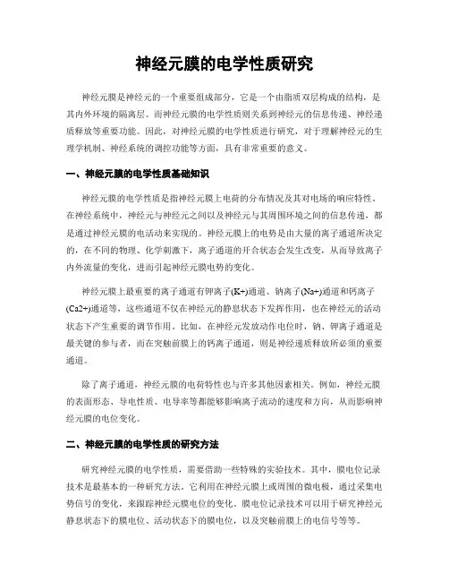 神经元膜的电学性质研究