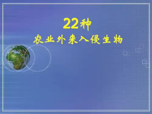 9种外来入侵生物幻灯