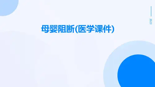 母婴阻断(医学课件)