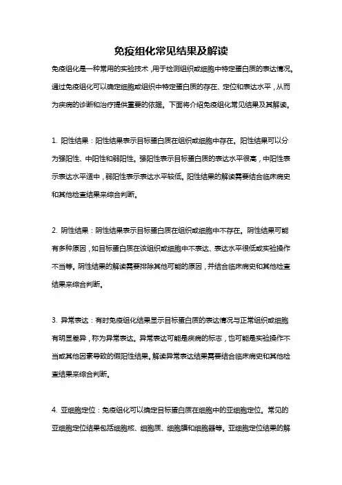免疫组化常见结果及解读