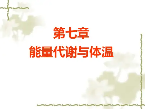 能量代谢