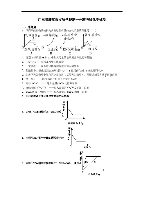 广东省廉江市实验学校高一分班考试化学试卷