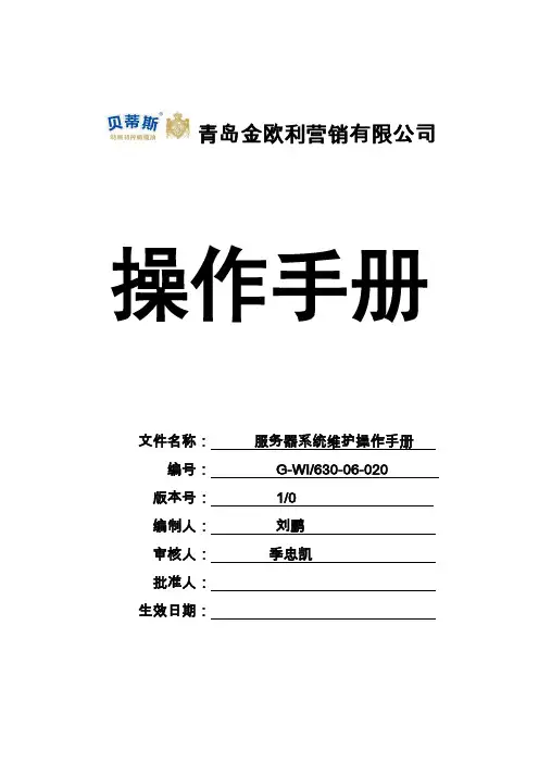 服务器系统维护操作手册