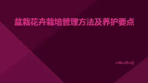 盆栽花卉栽培管理方法及养护要点