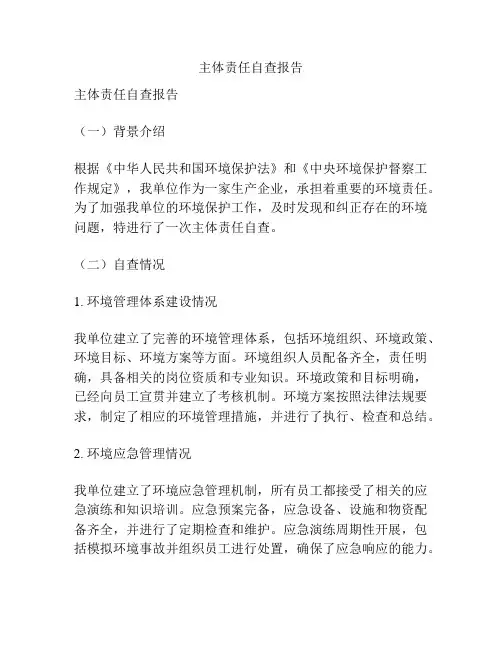 主体责任自查报告