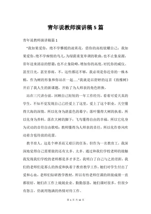 青年说教师演讲稿5篇