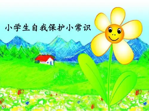 小学生自我保护PPT