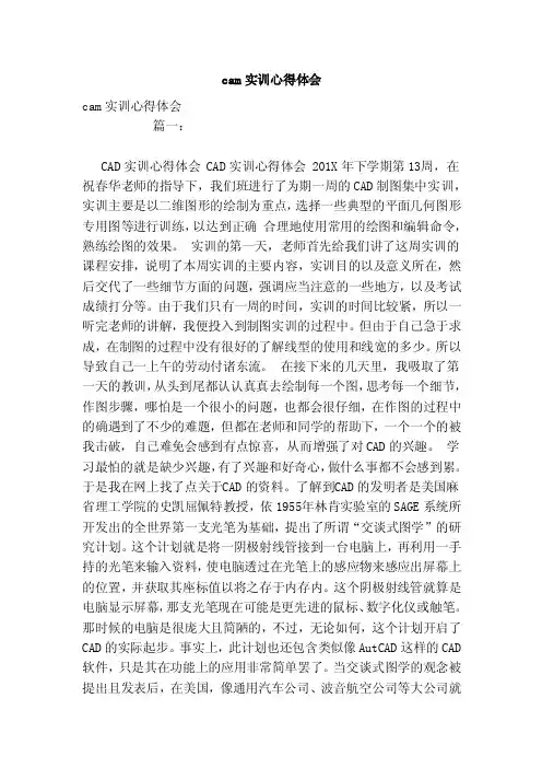 cam实训心得体会（范本）