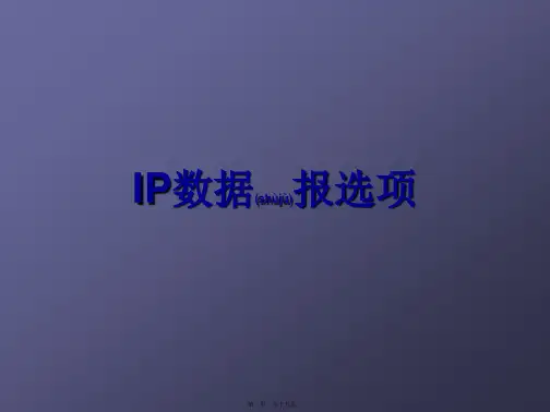 IP数据报选项(共15张PPT)